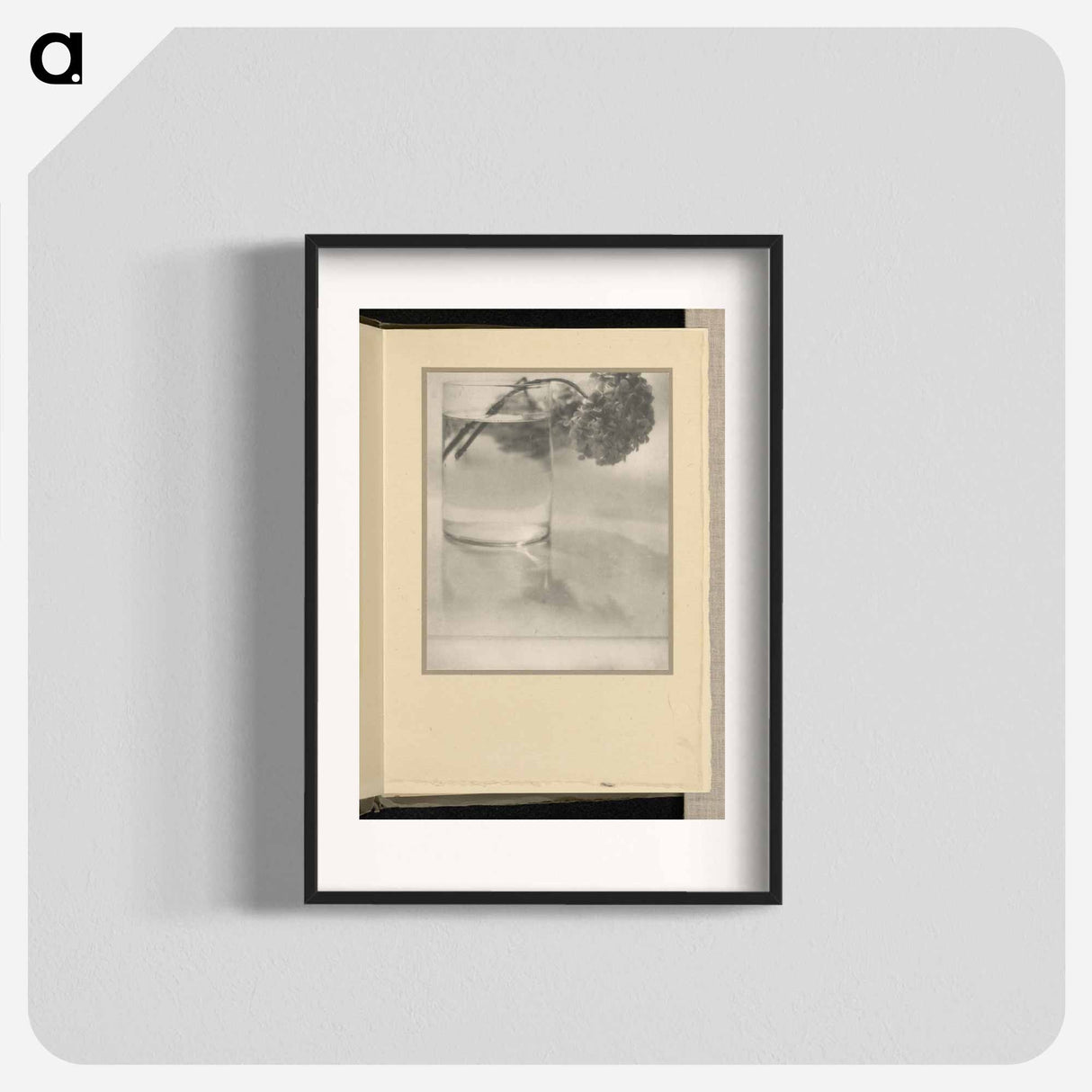Still Life [hydrangea in glass] - アルフレッド スティーグリッツ Poster.