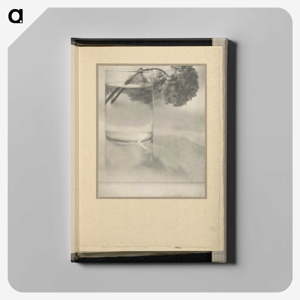 3-1_Alfred-Stieglitz_canvas