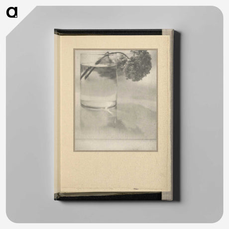 3-1_Alfred-Stieglitz_canvas