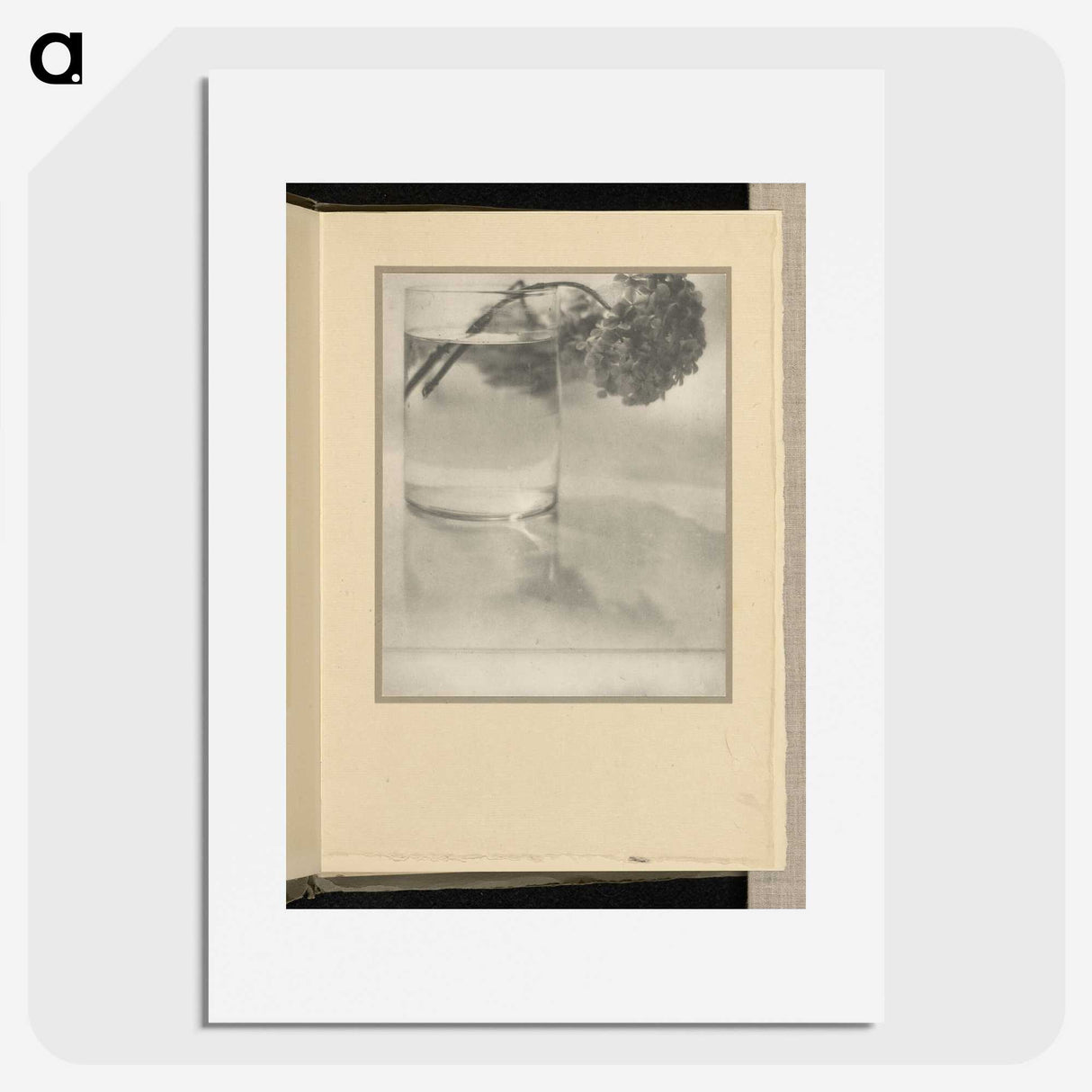 3-1_Alfred-Stieglitz_picture