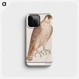 Saker Falcon - アンセルムス ボエティウス デ ブート Phone Case.