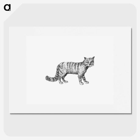 3-1_British-Library_picture