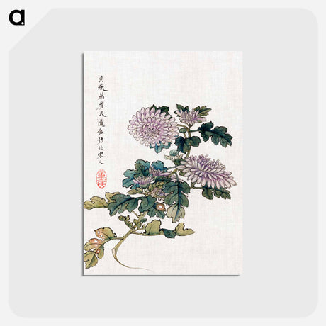 アートポストカード-Japanese Chrysanthemum
 - クリーブランド美術館 Postcard.
