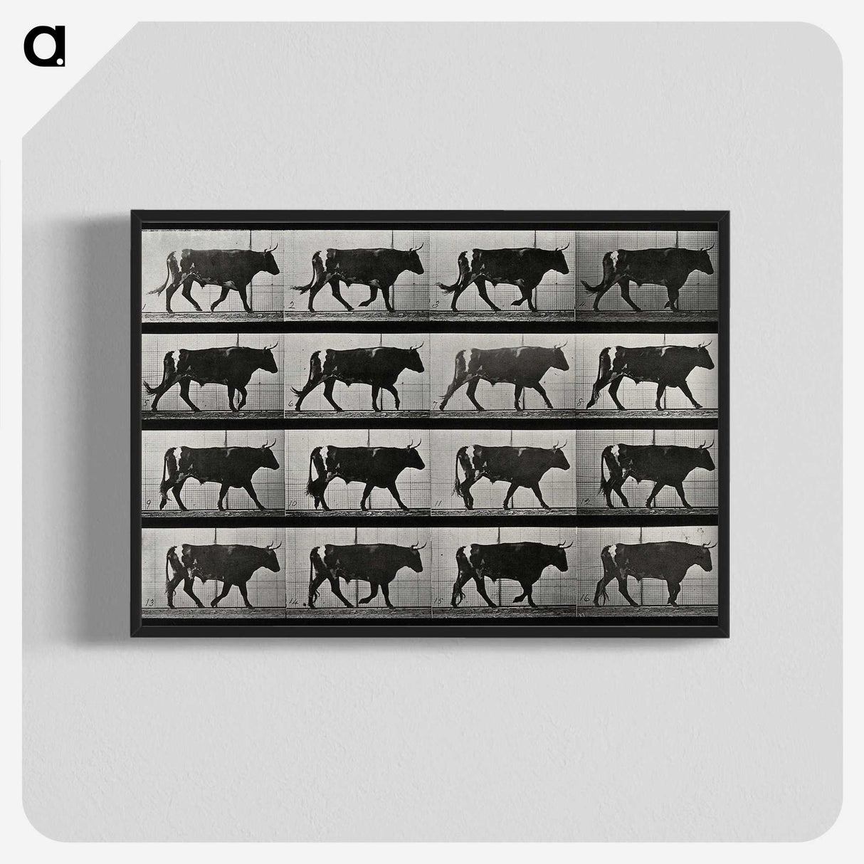 3-1_Eadweard-Muybridge_blk-crop