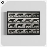 3-1_Eadweard-Muybridge_blk-crop