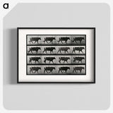 3-1_Eadweard-Muybridge_blk