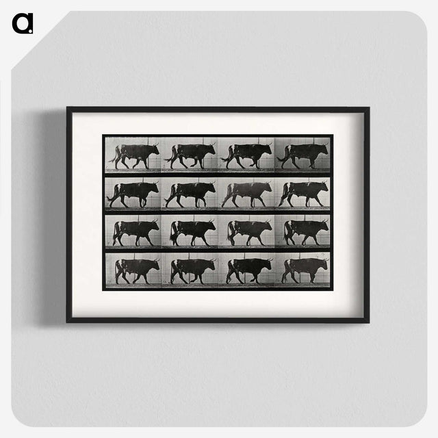 3-1_Eadweard-Muybridge_blk