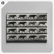 3-1_Eadweard-Muybridge_canvas