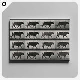 3-1_Eadweard-Muybridge_canvas