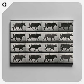 3-1_Eadweard-Muybridge_canvas