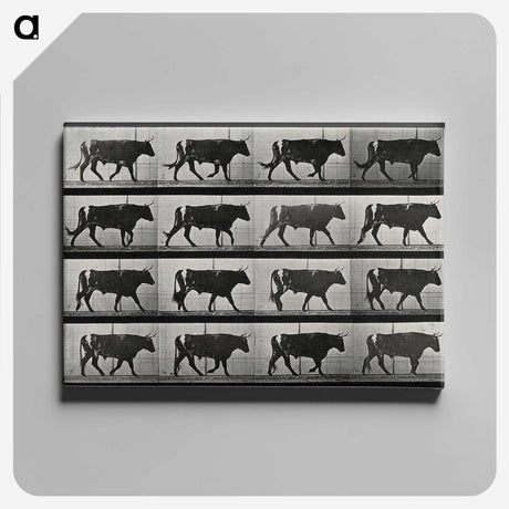 3-1_Eadweard-Muybridge_canvas