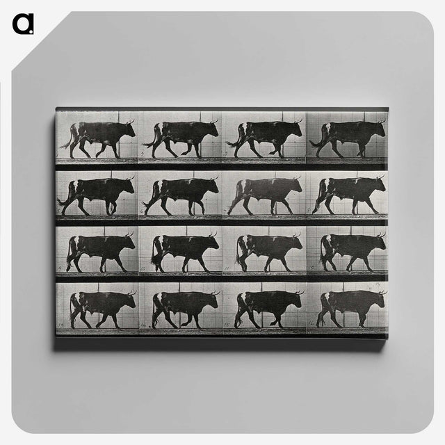 3-1_Eadweard-Muybridge_canvas