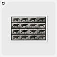 アートポストカード-Walking Bull
 - エドワード マイブリッジ Postcard.