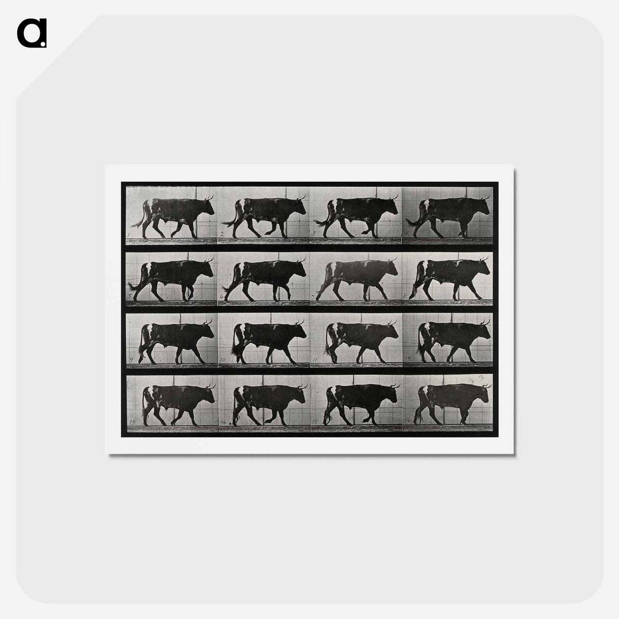 アートポストカード-Walking Bull
 - エドワード マイブリッジ Postcard.