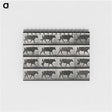 3-1_Eadweard-Muybridge_memo