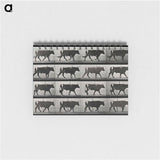 3-1_Eadweard-Muybridge_memo