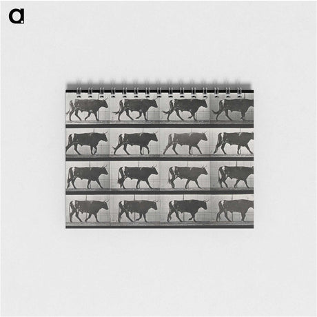 3-1_Eadweard-Muybridge_memo