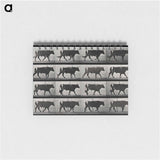 アートメモ帳-Walking Bull
 - エドワード マイブリッジ Memo.