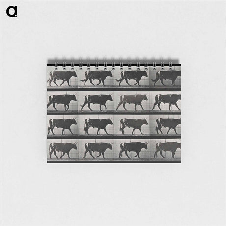 アートメモ帳-Walking Bull
 - エドワード マイブリッジ Memo.