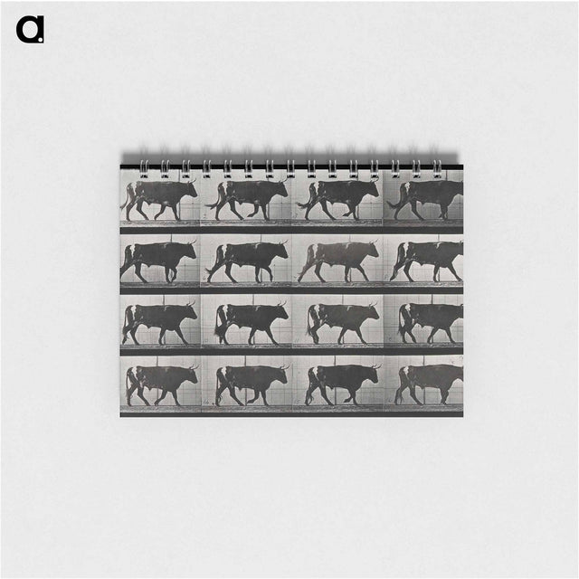 アートメモ帳-Walking Bull
 - エドワード マイブリッジ Memo.