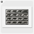 3-1_Eadweard-Muybridge_picture