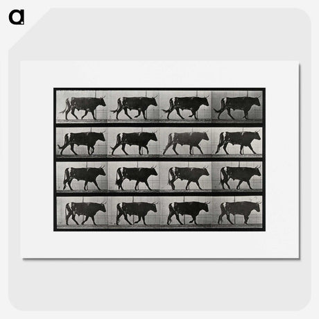 3-1_Eadweard-Muybridge_picture