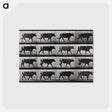 3-1_Eadweard-Muybridge_postcard