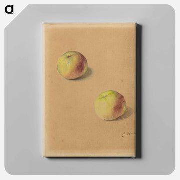 Two Apples - エドゥアール マネ Canvas.