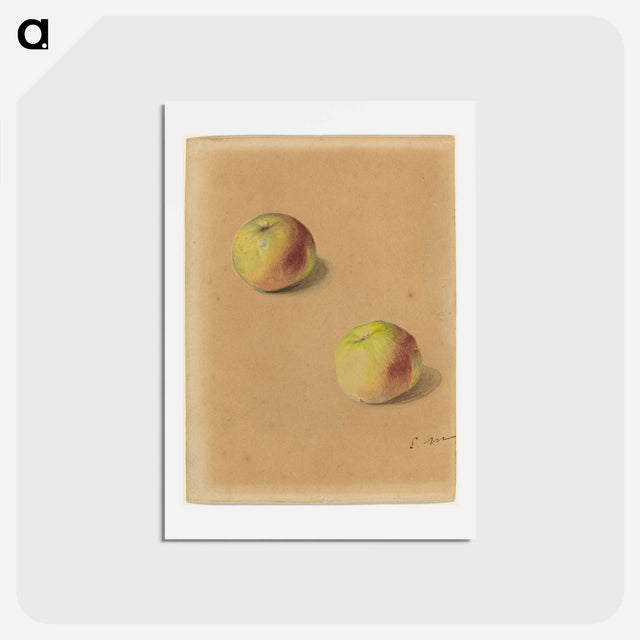 アートポストカード-Two Apples - エドゥアール マネ Postcard.