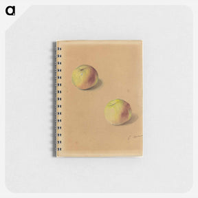 アートメモ帳-Two Apples - エドゥアール マネ Memo.