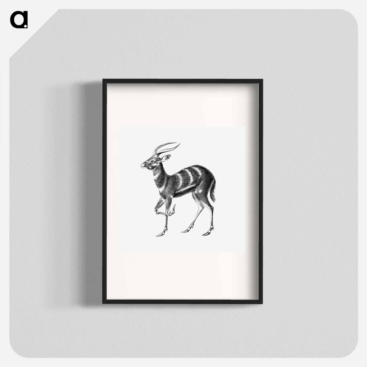 Vintage antelope wildlife illustration - エルンスト ヘッケル Poster.