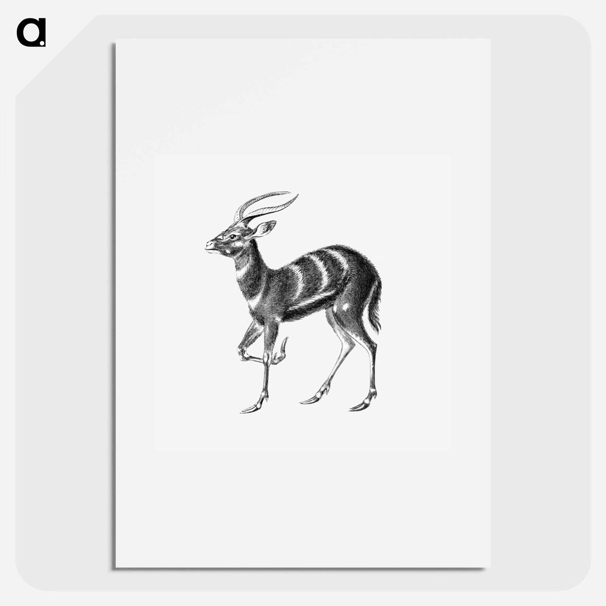 Vintage antelope wildlife illustration - エルンスト ヘッケル Poster.