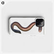 3-1_Ichtyologie-ou-Histoire-naturelle_phone