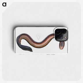 3-1_Ichtyologie-ou-Histoire-naturelle_phone