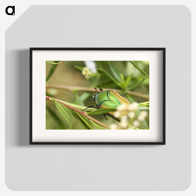 3-1_Insects-Unlocked-Project_blk