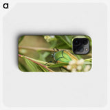 3-1_Insects-Unlocked-Project_phone
