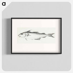 アートポスター-Fish - ジャン ベルナール Poster.
