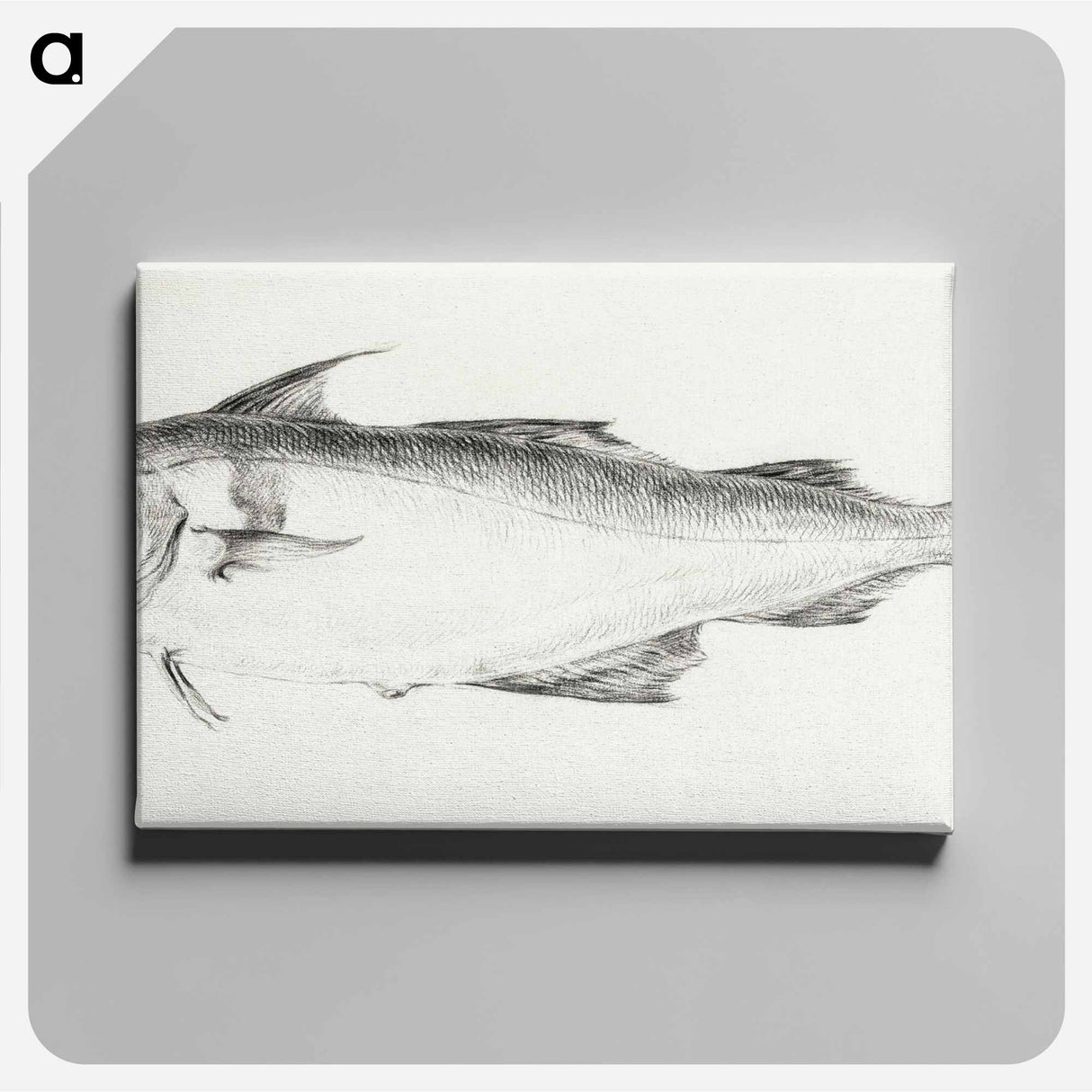 アートパネル-Fish - ジャン ベルナール Canvas.