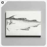 アートパネル-Fish - ジャン ベルナール Canvas.