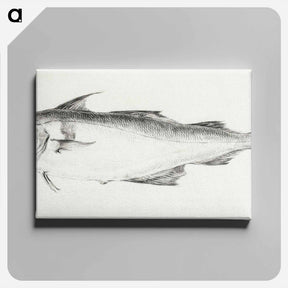 アートパネル-Fish - ジャン ベルナール Canvas.
