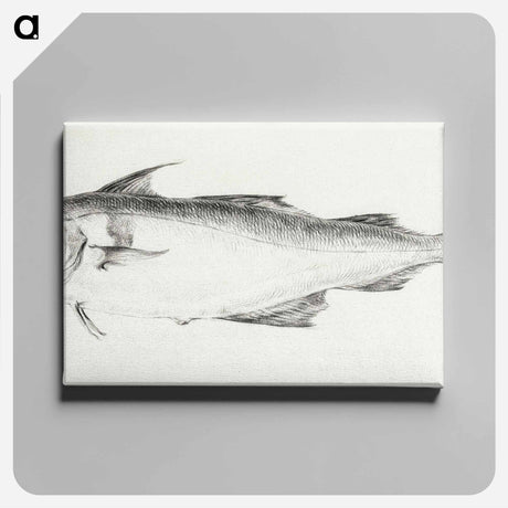 アートパネル-Fish - ジャン ベルナール Canvas.