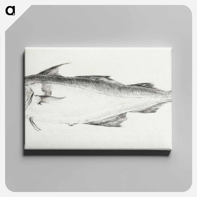 アートパネル-Fish - ジャン ベルナール Canvas.