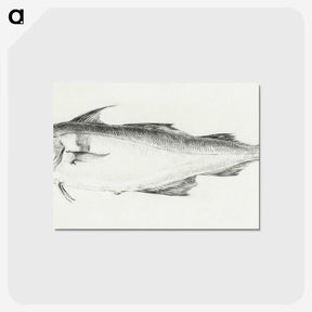 3-1_Jean-Bernard_postcard