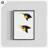 3-1_John-Gould_blk-crop
