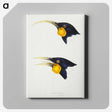 3-1_John-Gould_canvas