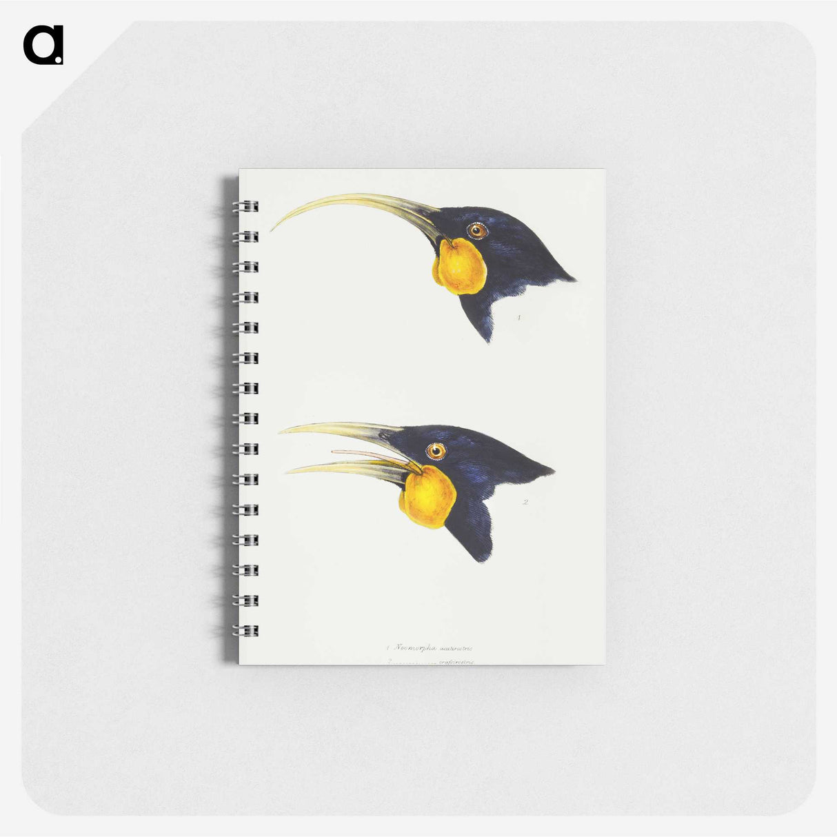 3-1_John-Gould_memo