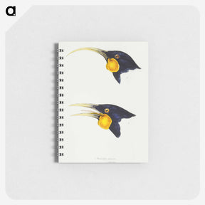 3-1_John-Gould_memo