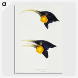 3-1_John-Gould_picture-crop