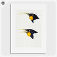 3-1_John-Gould_picture