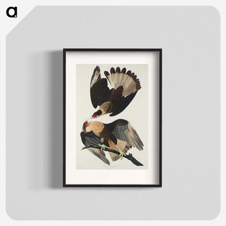 3-1_John-James-Audubon_blk